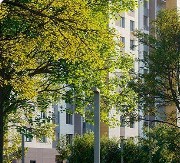 Фрагмент изображения из скриншота
